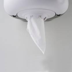 Диспенсер бумажных полотенец Rixo Maggio P040W P040W Rixo Диспенсер бумажных полотенец Rixo Maggio P040W P040W Rixo