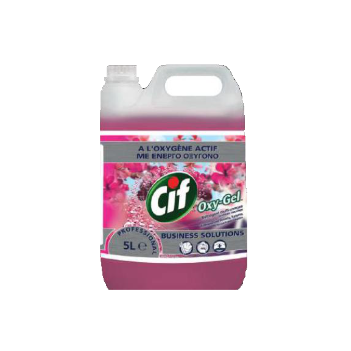 Універсальний засіб Cif Professional на основі активного кисню для водостійких поверхонь Орхідея, 5л 25488740 Pro Formula