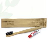 Набір для чищення зубів High-End, дерев'яна зубна щітка та паста 5 гр в паперовій упаковці Flow-Pack HEF-DK/W HSG Набір для чищення зубів High-End, дерев'яна зубна щітка та паста 5 гр в паперовій упаковці Flow-Pack HEF-DK/W HSG