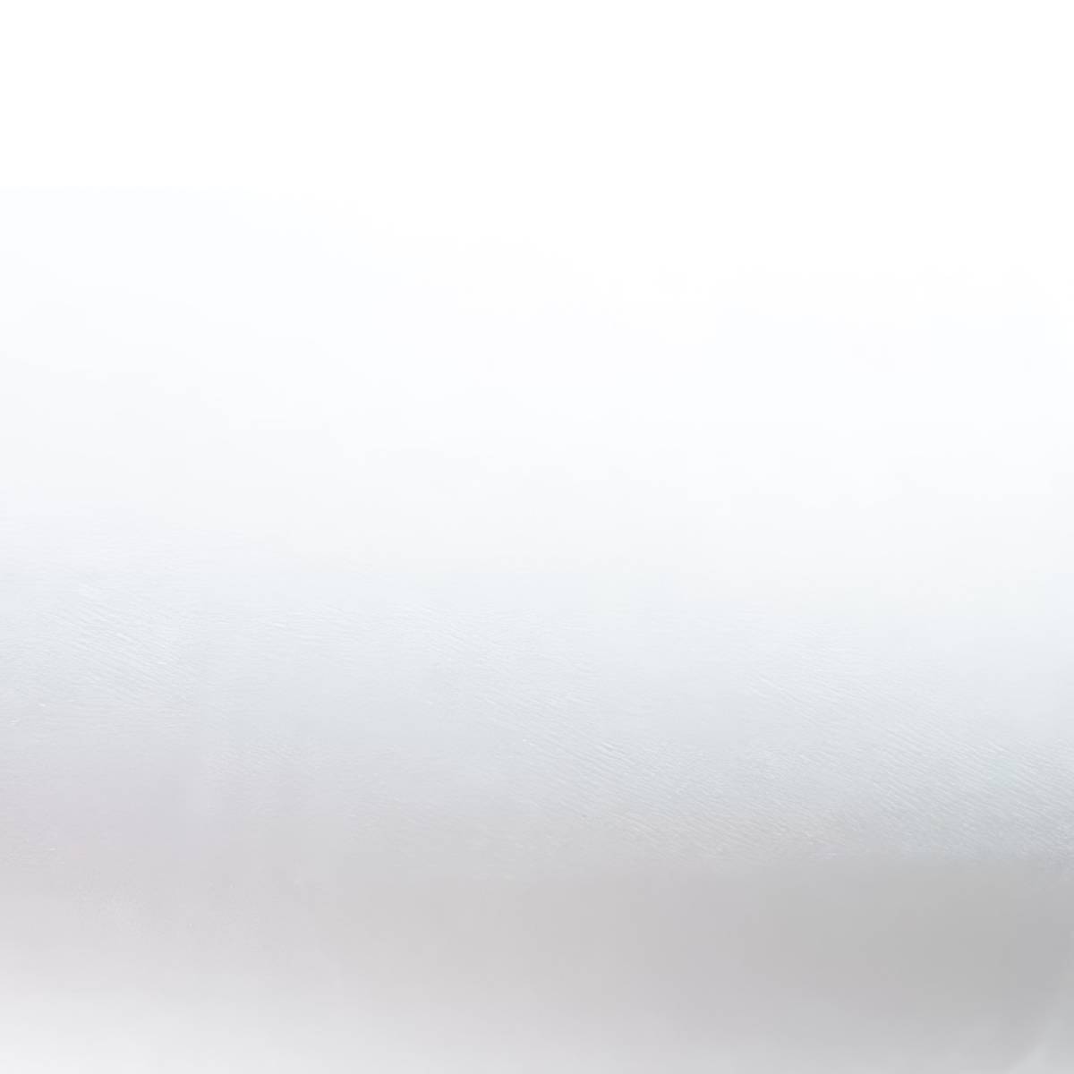 Полотенца в рулоне Basic MINI (упаковка 12 рулонов по 304 отрыва) P1433 Tischa Papier