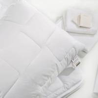 Подушка Hotel & Spa Classic с чехлом на молнии 8-3112х HSG