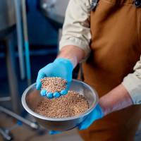 Рукавички нітрилові 100шт. SKIN BLU GU115M Skin Protek