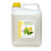 Шампунь Lemon & Verbena 5 кг SPA-SH/K5 HSG