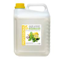 Гель 2в1 для волосся та тіла Lemon & Verbena 5 кг SPA-HB/K5 HSG Гель 2в1 для волосся та тіла Lemon & Verbena 5 кг SPA-HB/K5 HSG