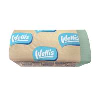 Полотенца листовые "WELLiS" цветные, лист 230х250 (25 упаковок) 49077 АМЕТИСТ