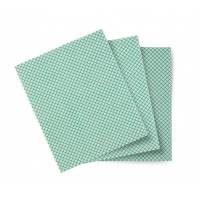 Серветки для миття Basic-T 10 шт. TCH603040 TTS