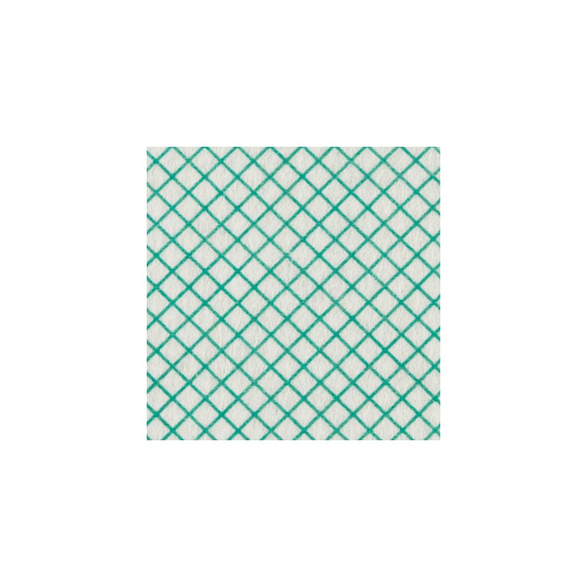 Серветки для миття Basic-T 10 шт. TCH603040 TTS