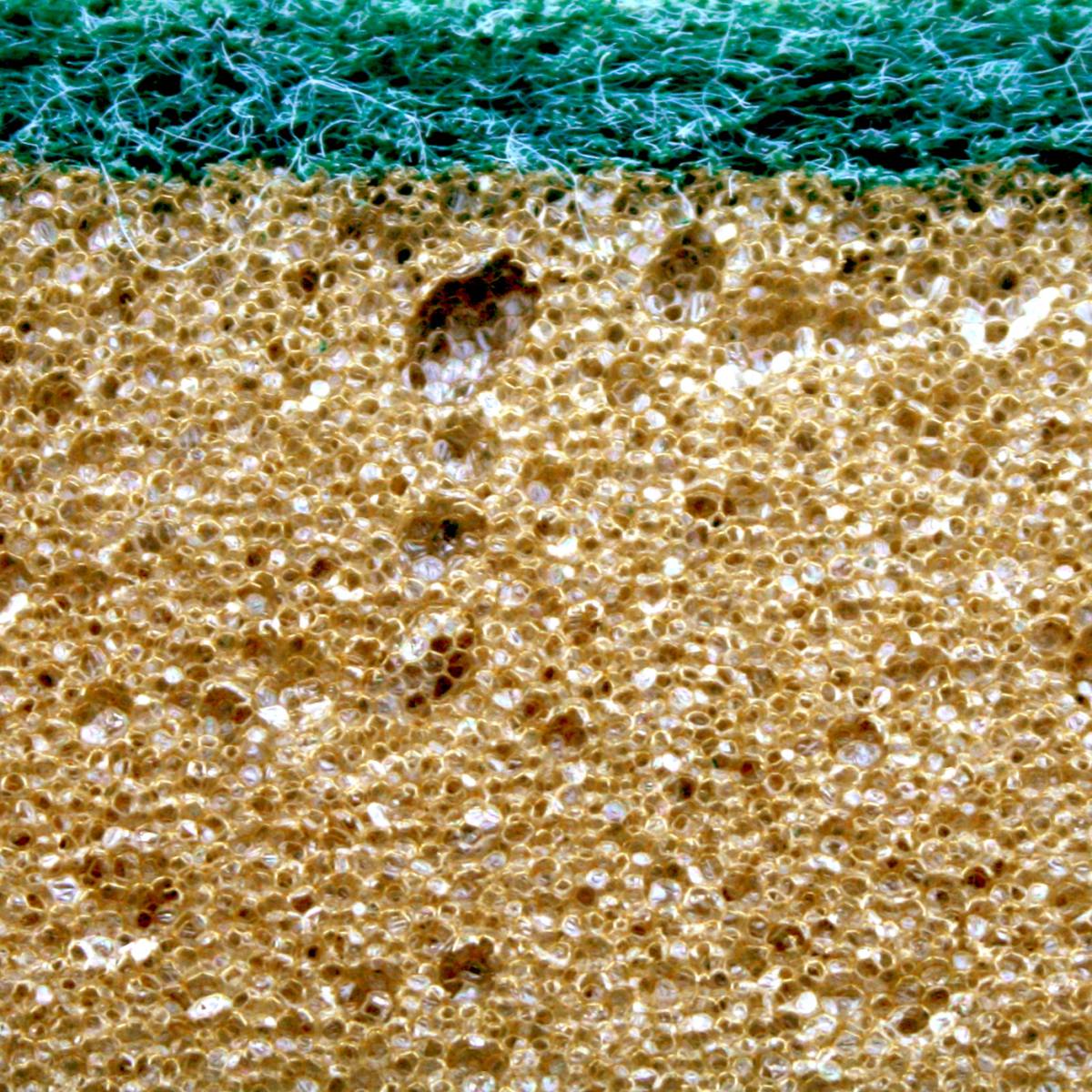 Губки для миття Widie 10шт.