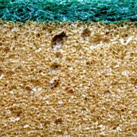 Губки для мытья Widie 10шт.