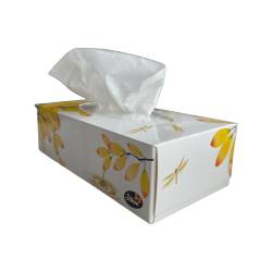 Салфетки косметические в коробке "Natural" (18 упаковок) 51214 Silken 2