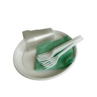 Комплект Пікнік на 6 персон (80 упаковок)