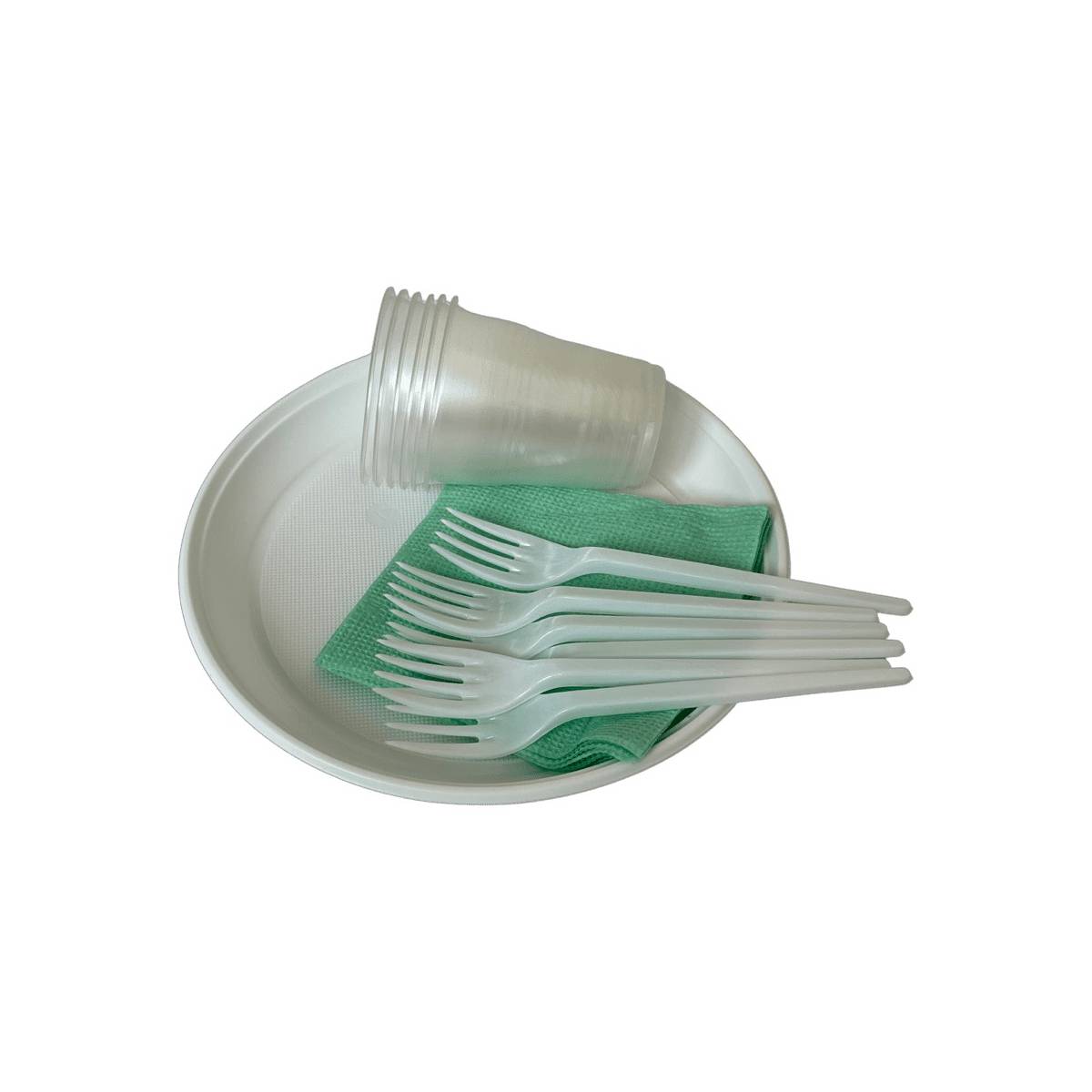 Комплект Пикник на 6 персон (80 упаковок)