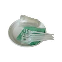 Комплект Пикник на 6 персон (80 упаковок)