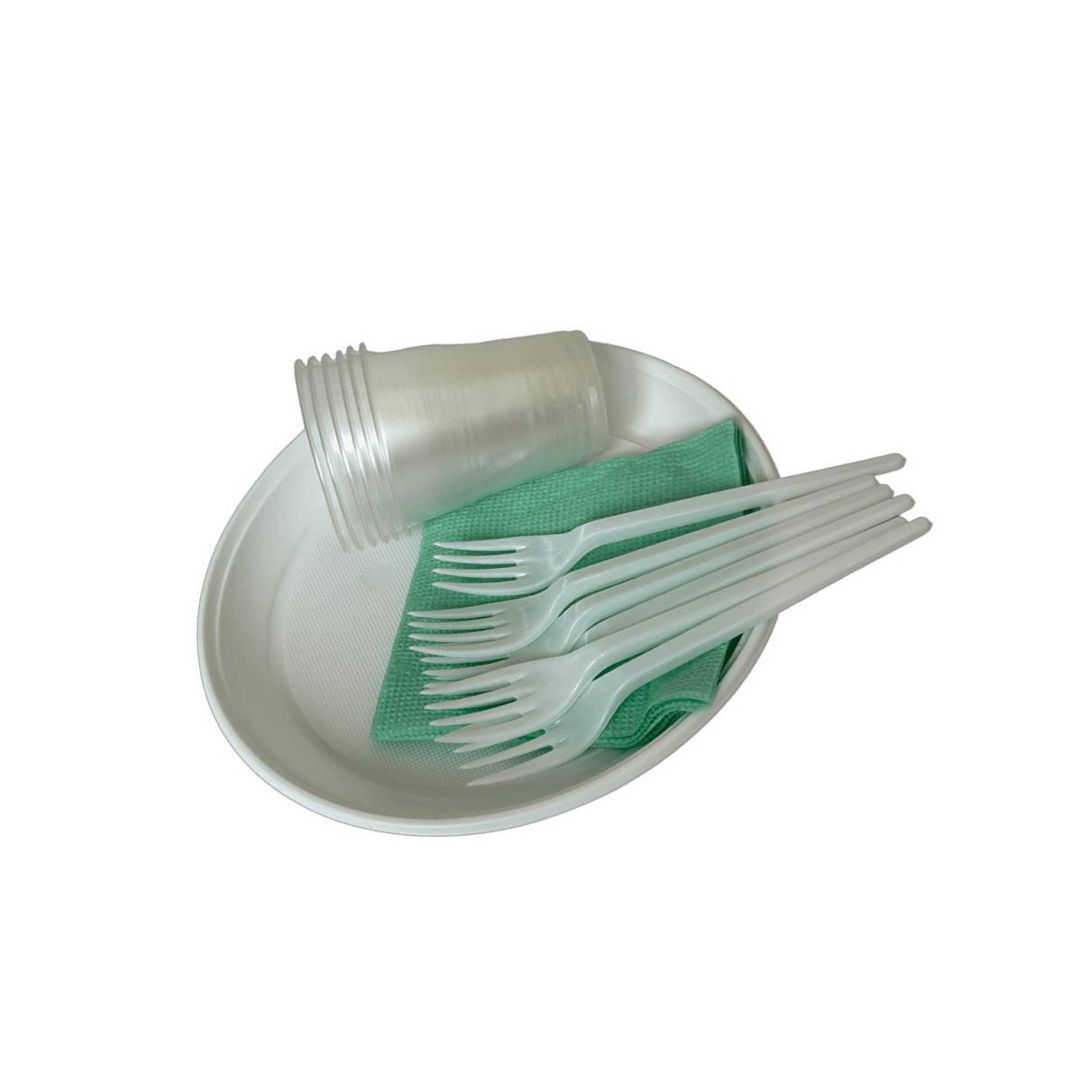 Комплект Пикник на 6 персон (80 упаковок)