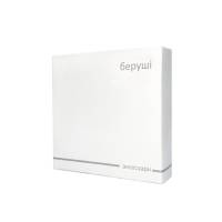 Беруши одноразовые в картонной коробочке B-Eplg