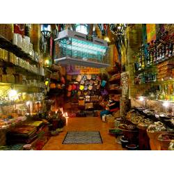 Уничтожитель летающих насекомых CriCri-308E (Синий) 308Е MO-EL Уничтожитель летающих насекомых CriCri-308E (Синий) 308Е MO-EL